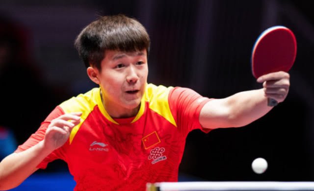 可能会决定 可能会决定